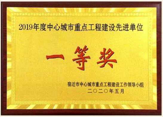 2019年度中心都会重点工程建设先进单位一等奖